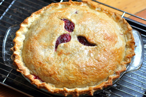 pirog-s-klyukvoj-recept-zakrytoj-vypechki.3jpg