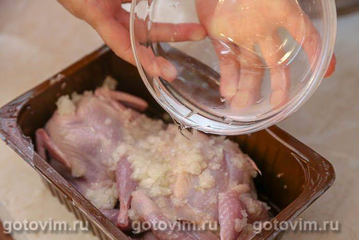 Перепела на мангалі в маринаді з оцту з цибулею, Крок 05